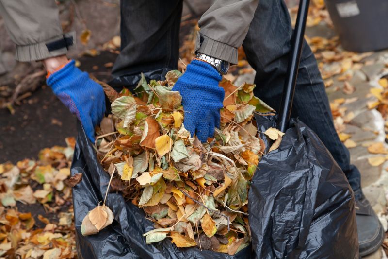 Fall Yard Cleanup Service