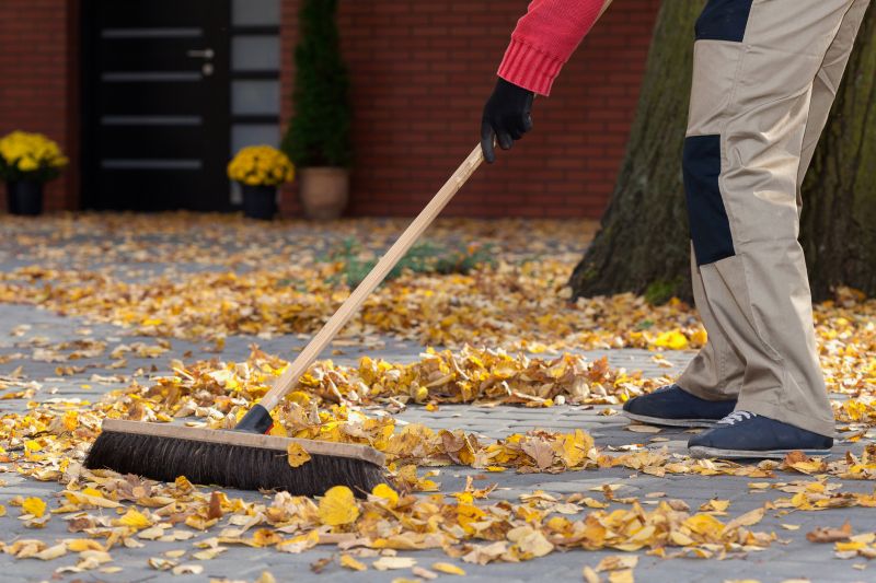 Fall Yard Cleanup Service