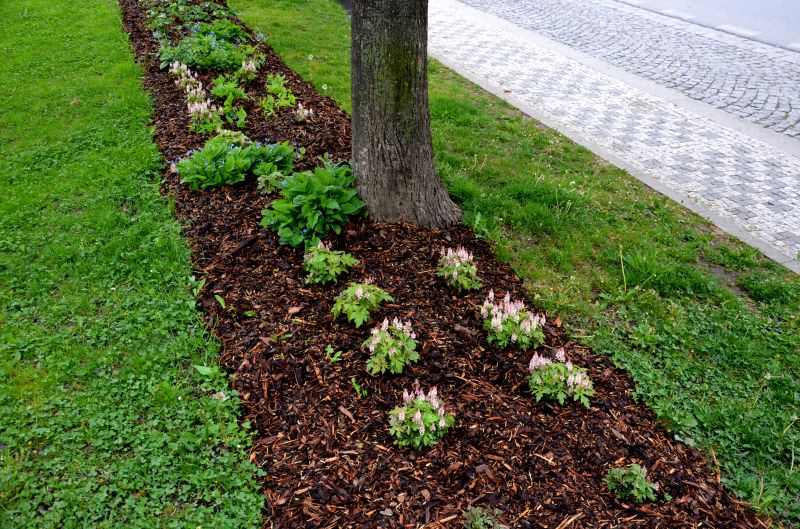 Mulched Garden Beds