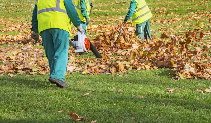 Specialized Fall Cleanup Teams