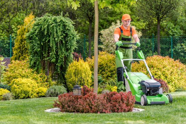 Outdoor Space Cleanup