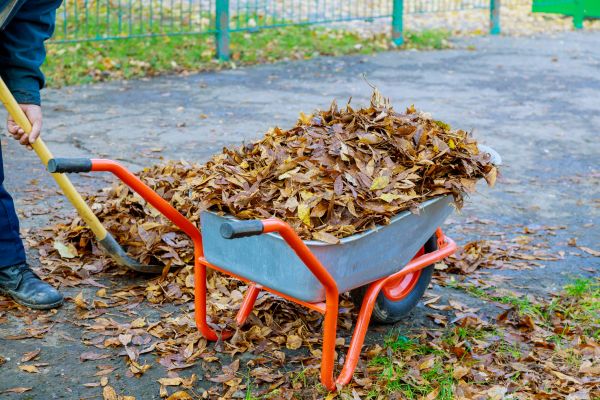 Leaf Pickup Service - Leaf Pickup Service Gig Harbor, Washington