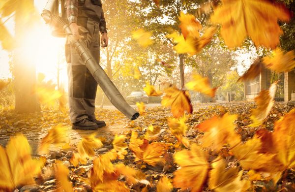 Fall Landscaping Cleanup - Fall Landscaping Cleanup San Antonio, Texas