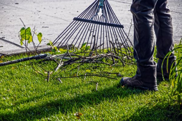Yard Debris Cleanup - Yard Debris Cleanup Gig Harbor, Washington